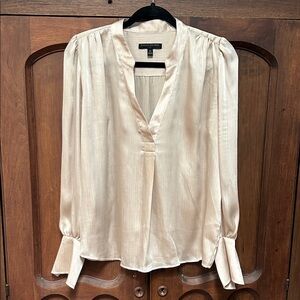 Banana Republic Champagne Satin Blouse